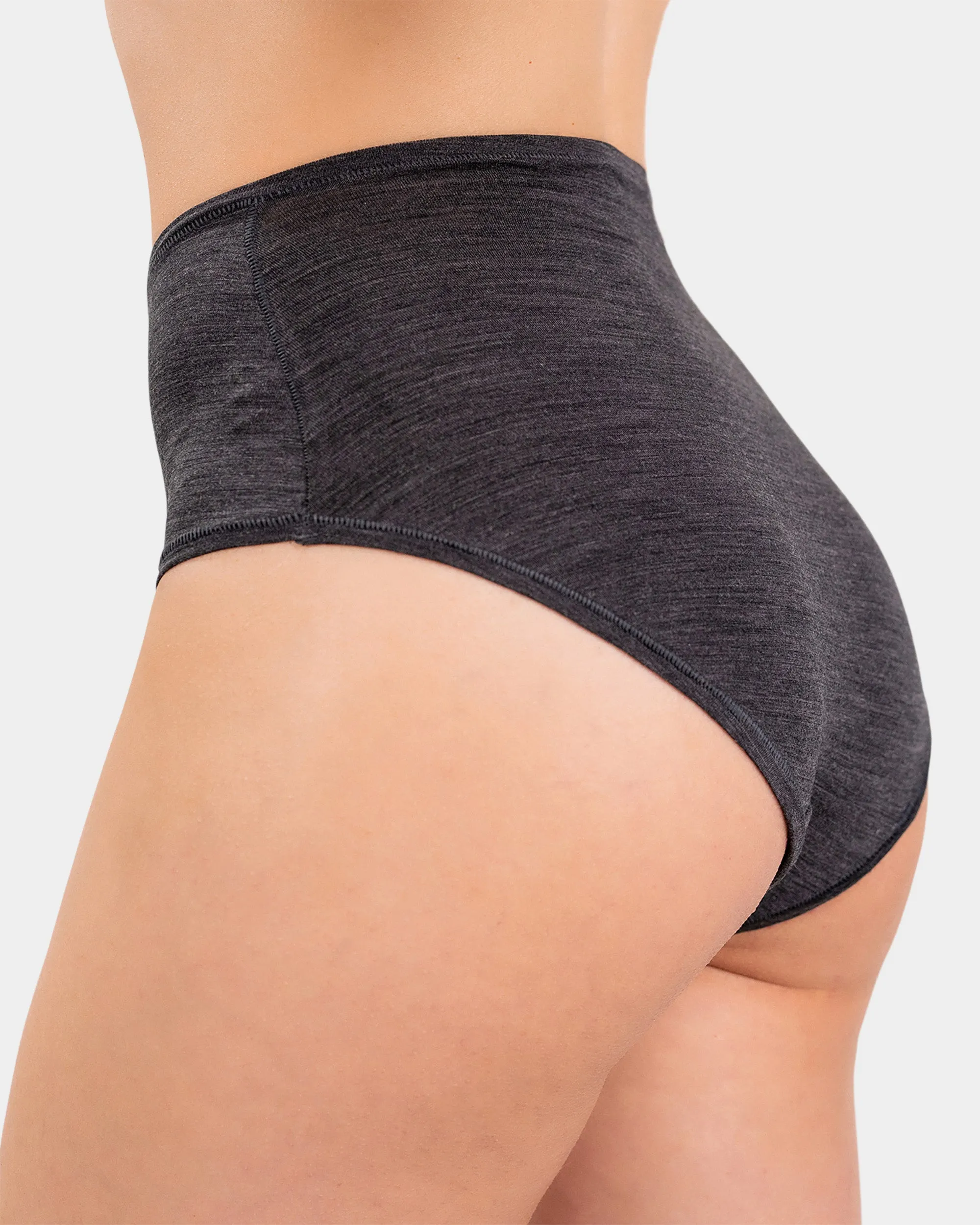 High Waisted Bikini Brief
